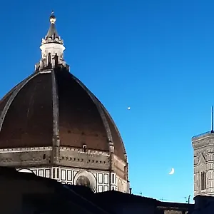 L'albero Di Garibaldi , Florence Italie